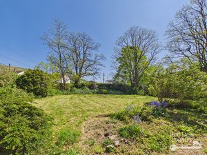 Front Garden- click for photo gallery